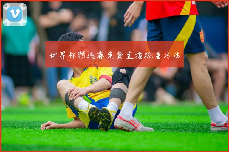 世界杯预选赛免费直播观看方法