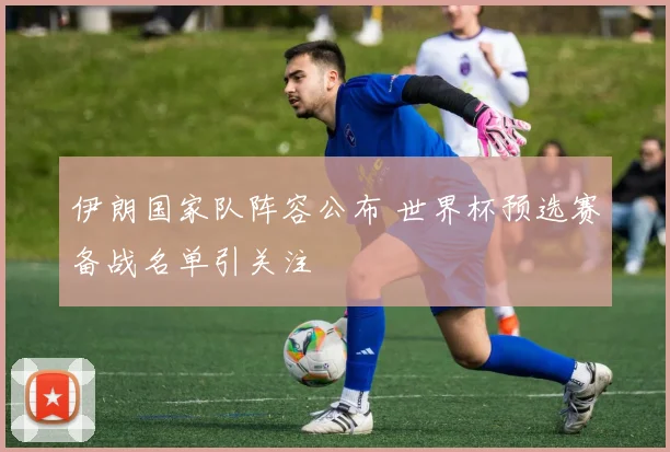 伊朗国家队阵容公布 世界杯预选赛备战名单引关注