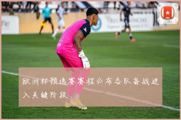 欧洲杯预选赛赛程公布各队备战进入关键阶段